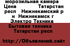  морозильная камера › Цена ­ 10 000 - Татарстан респ., Нижнекамский р-н, Нижнекамск г. Электро-Техника » Бытовая техника   . Татарстан респ.